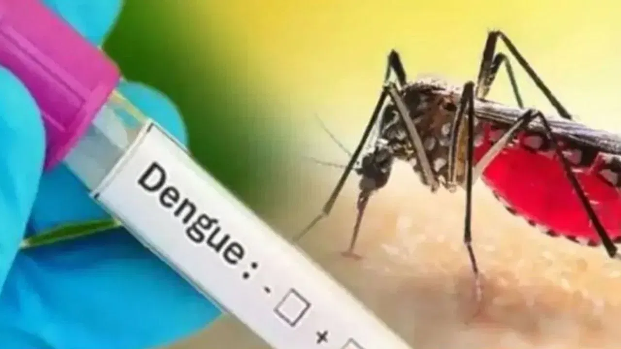 Symptoms of Dengue: ডেংগুৰ প্ৰাৰম্ভিক লক্ষণসমূহ কি কি? জানক কেনেকৈ কৰিব প্ৰতিৰোধ Symptoms of Dengue: ডেংগুৰ প্ৰাৰম্ভিক লক্ষণসমূহ কি কি? জানক কেনেকৈ কৰিব প্ৰতিৰোধ