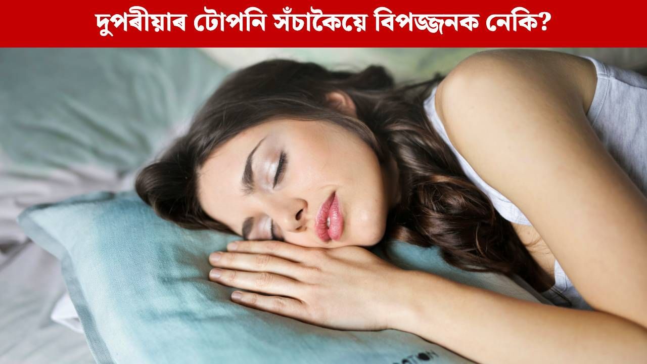 দুপৰীয়াৰ টোপনি সঁচাকৈয়ে বিপজ্জনক নেকি? বিশেষজ্ঞই দিছে আপুনি বিচাৰি থকা প্ৰশ্নৰ উত্তৰ দুপৰীয়াৰ টোপনি সঁচাকৈয়ে বিপজ্জনক নেকি? বিশেষজ্ঞই দিছে আপুনি বিচাৰি থকা প্ৰশ্নৰ উত্তৰ