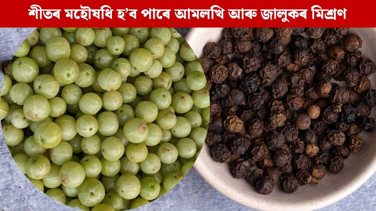 শীতৰ মহৌষধি হ’ব পাৰে আমলখি আৰু জালুকৰ মিশ্ৰণ, বিশেষজ্ঞই দিছে এনে উপকাৰিতাৰ সম্ভেদ শীতৰ মহৌষধি হ’ব পাৰে আমলখি আৰু জালুকৰ মিশ্ৰণ, বিশেষজ্ঞই দিছে এনে উপকাৰিতাৰ সম্ভেদ