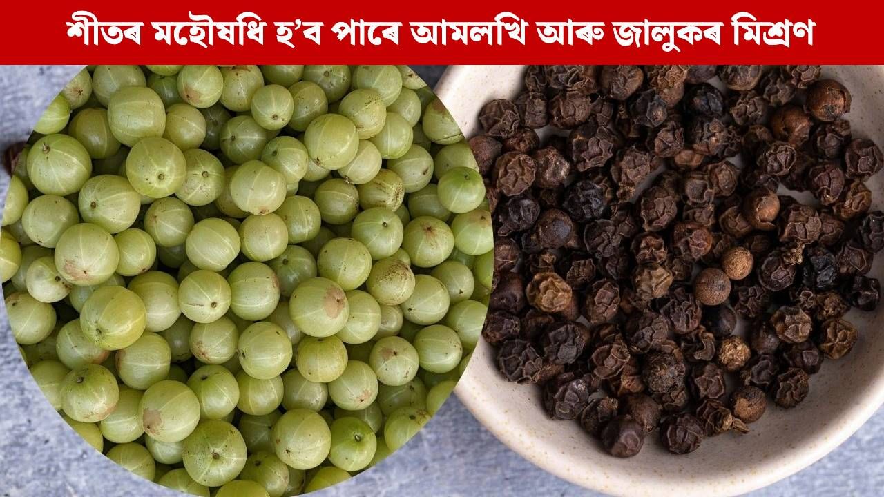 শীতৰ মহৌষধি হ’ব পাৰে আমলখি আৰু জালুকৰ মিশ্ৰণ, বিশেষজ্ঞই দিছে এনে উপকাৰিতাৰ সম্ভেদ শীতৰ মহৌষধি হ’ব পাৰে আমলখি আৰু জালুকৰ মিশ্ৰণ, বিশেষজ্ঞই দিছে এনে উপকাৰিতাৰ সম্ভেদ