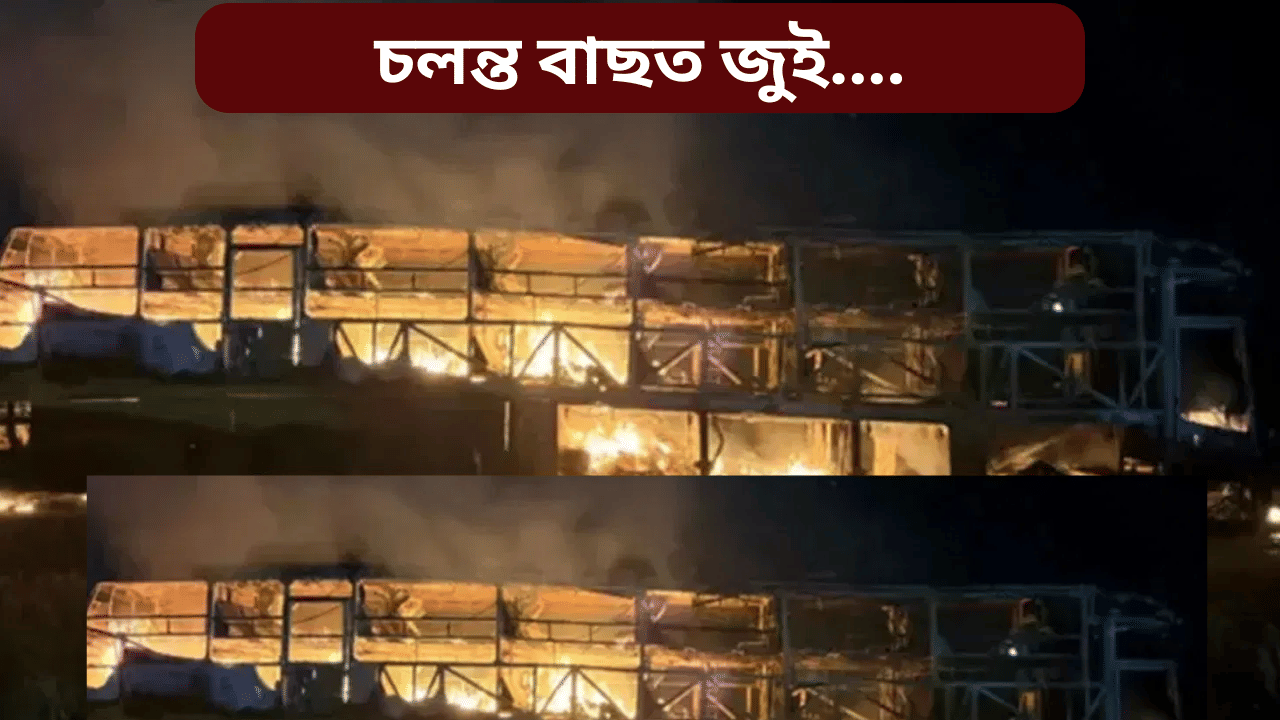 চলন্ত বাছত ভয়ংকৰ অগ্নিকাণ্ড! থিতাতে মৃত্যু প্ৰায় ২০ জনৰ, আছিল ৪০ গৰাকীকৈ যাত্ৰী… চলন্ত বাছত ভয়ংকৰ অগ্নিকাণ্ড! থিতাতে মৃত্যু প্ৰায় ২০ জনৰ, আছিল ৪০ গৰাকীকৈ যাত্ৰী…