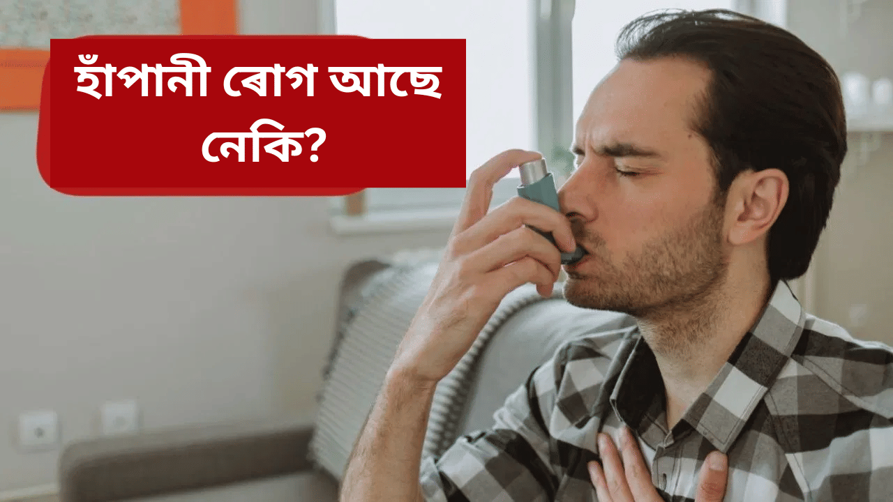 বুকুৰ পৰা অস্বাভাৱিক মাত ওলাই নেকি? ই কি ৰোগৰ লক্ষণ, কেনেকৈ যত্ন ল’ব জানক সকলো… বুকুৰ পৰা অস্বাভাৱিক মাত ওলাই নেকি? ই কি ৰোগৰ লক্ষণ, কেনেকৈ যত্ন ল’ব জানক সকলো…