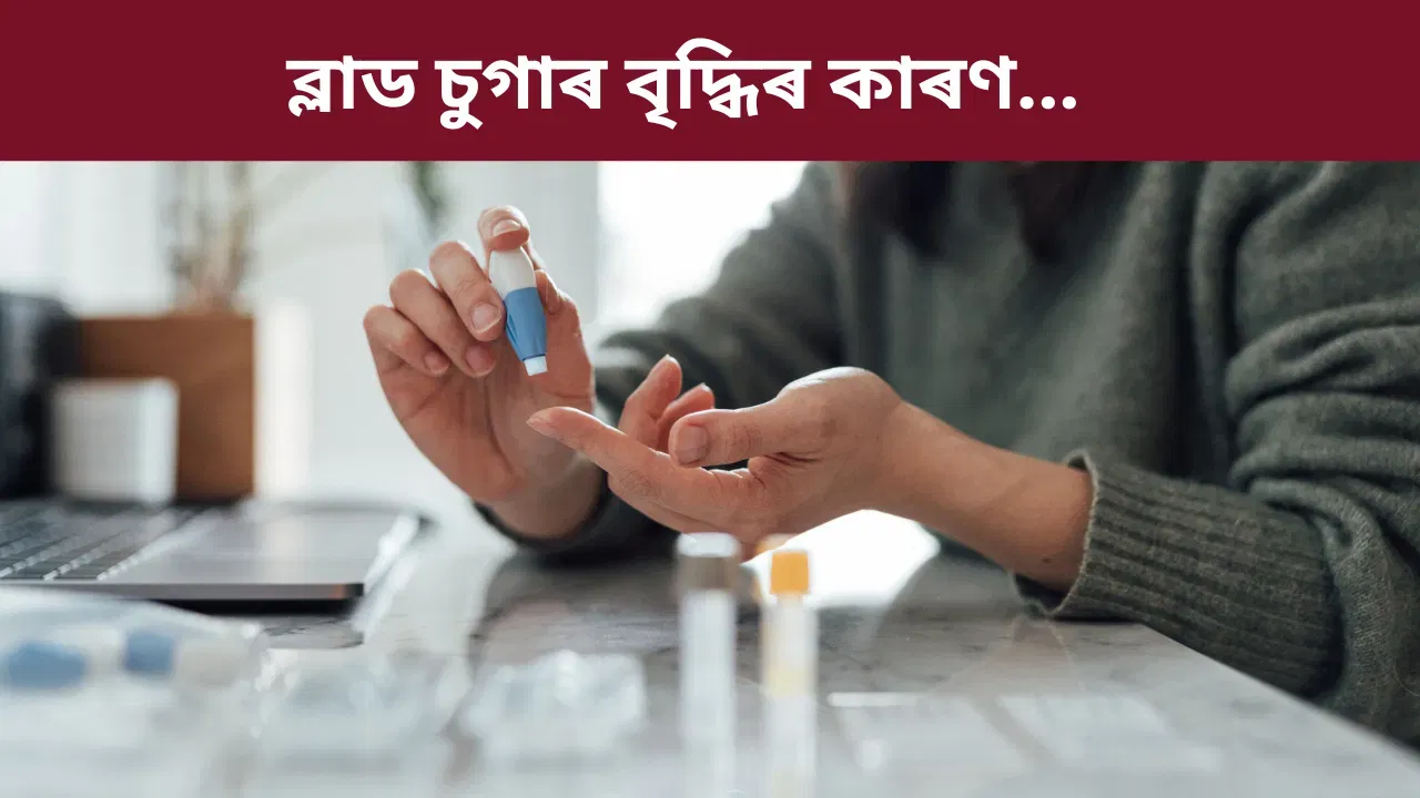বহুত পিয়াহ লাগি থাকে নেকি? হ’ব পাৰে এই ৰোগৰ লক্ষণ, জানক চিকিৎসকৰ পৰা… বহুত পিয়াহ লাগি থাকে নেকি? হ’ব পাৰে এই ৰোগৰ লক্ষণ, জানক চিকিৎসকৰ পৰা…