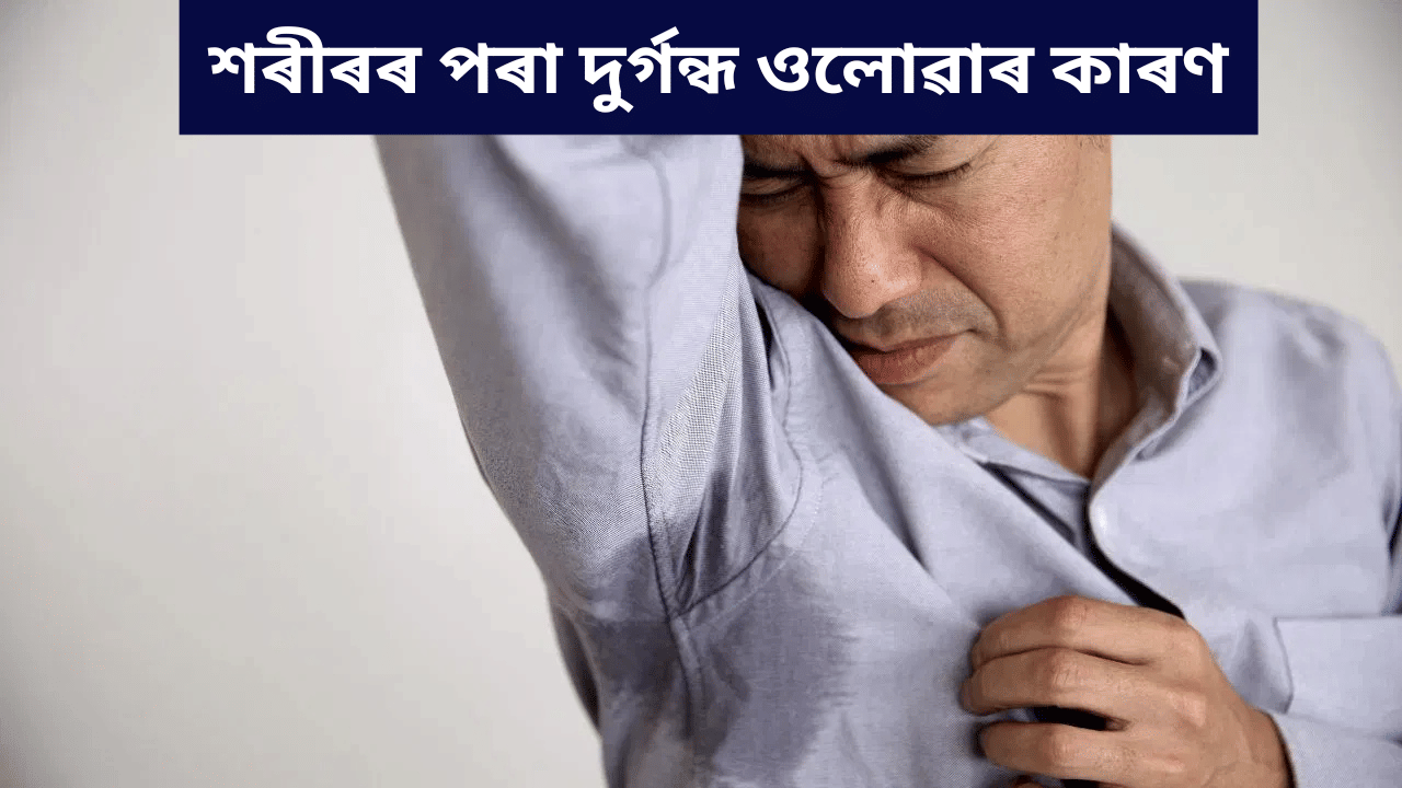 শৰীৰৰ পৰা দুৰ্গন্ধ ওলাই নেকি? হব পাৰে এইসমূহ ৰোগৰ সংকেত, জানক বিশেষজ্ঞৰ পৰা... শৰীৰৰ পৰা দুৰ্গন্ধ ওলাই নেকি? হব পাৰে এইসমূহ ৰোগৰ সংকেত, জানক বিশেষজ্ঞৰ পৰা...