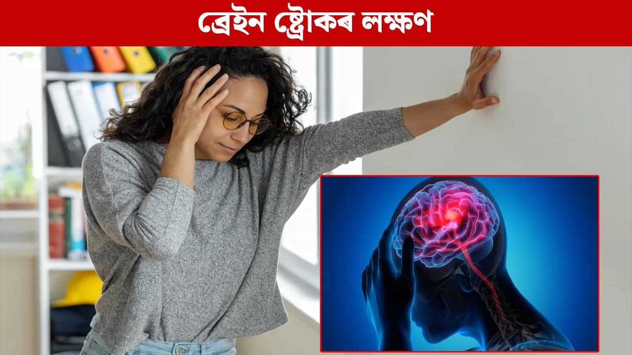 শৰীৰৰ এই সাধাৰণ সমস্যাই দিয়ে মগজুৰ ষ্ট্ৰোকৰ ইংগিত, চিনি লওক... শৰীৰৰ এই সাধাৰণ সমস্যাই দিয়ে মগজুৰ ষ্ট্ৰোকৰ ইংগিত, চিনি লওক...