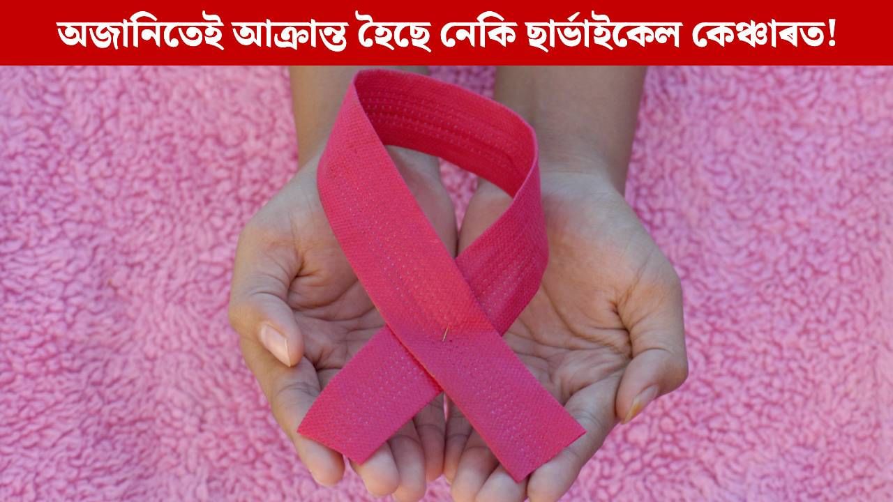 অজানিতেই আক্ৰান্ত হৈছে নেকি ছাৰ্ভাইকেল কেঞ্চাৰত! বিশেষজ্ঞই আঙুলিয়াই দিছে এই তিনিটা লক্ষণ অজানিতেই আক্ৰান্ত হৈছে নেকি ছাৰ্ভাইকেল কেঞ্চাৰত! বিশেষজ্ঞই আঙুলিয়াই দিছে এই তিনিটা লক্ষণ