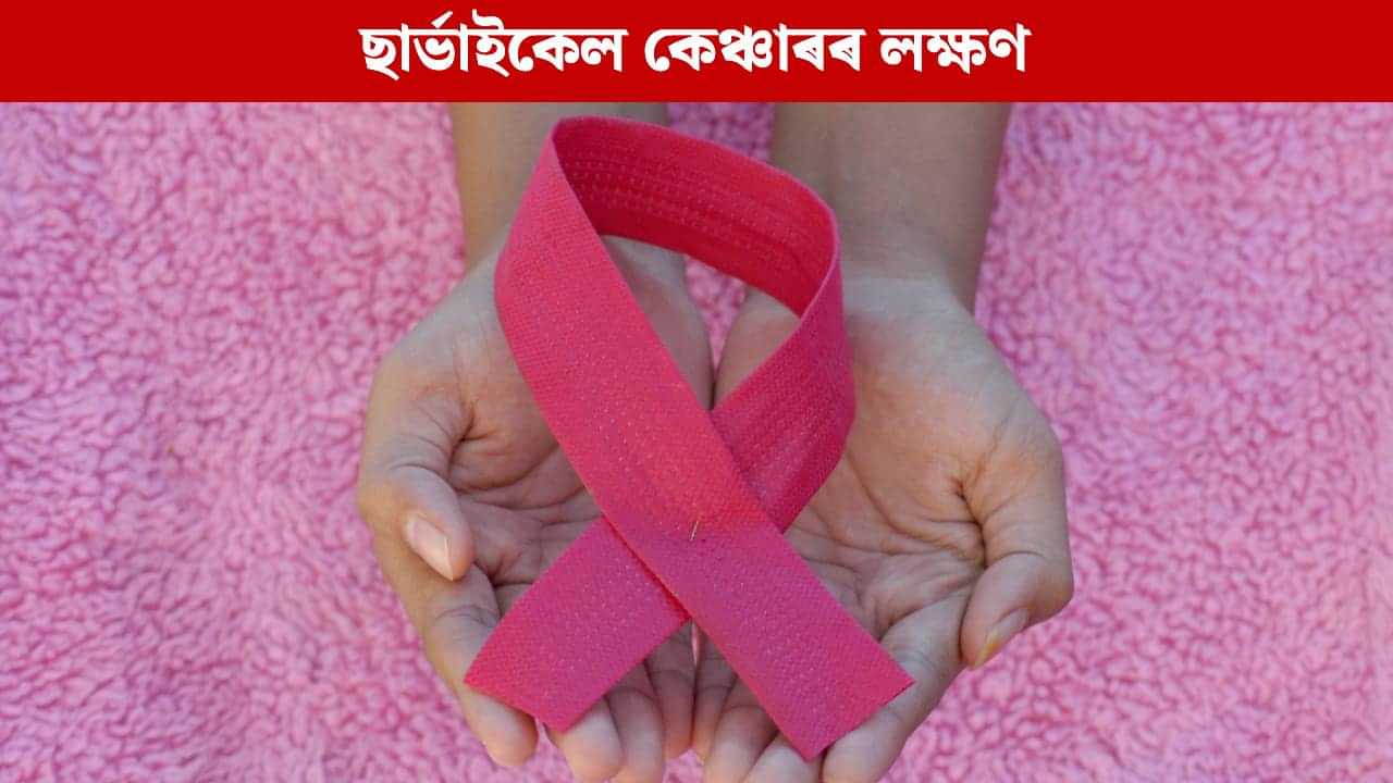 ছাৰ্ভাইকেল কেঞ্চাৰৰ পূৰ্বে মহিলাৰ দেহত দেখা দিয়ে এনে লক্ষণে, বিশেষজ্ঞই দিছে চিনাক্তকৰণৰ উপায় ছাৰ্ভাইকেল কেঞ্চাৰৰ পূৰ্বে মহিলাৰ দেহত দেখা দিয়ে এনে লক্ষণে, বিশেষজ্ঞই দিছে চিনাক্তকৰণৰ উপায়
