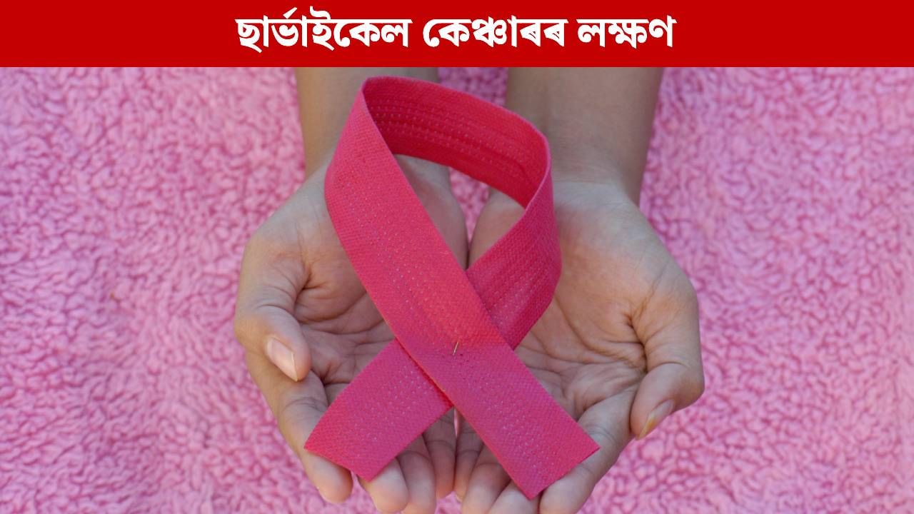 ছাৰ্ভাইকেল কেঞ্চাৰৰ পূৰ্বে মহিলাৰ দেহত দেখা দিয়ে এনে লক্ষণে, বিশেষজ্ঞই দিছে চিনাক্তকৰণৰ উপায় ছাৰ্ভাইকেল কেঞ্চাৰৰ পূৰ্বে মহিলাৰ দেহত দেখা দিয়ে এনে লক্ষণে, বিশেষজ্ঞই দিছে চিনাক্তকৰণৰ উপায়