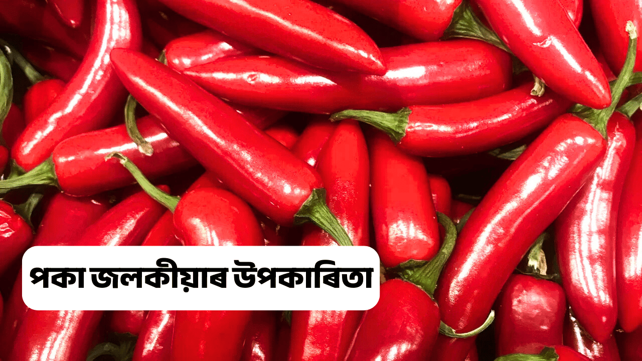 জলকীয়া খাবলৈ ভয় কৰে নেকি? পিছে পকা জলকীয়াৰ উপকাৰিতা জানিলে আচৰিত হব আপুনি! জলকীয়া খাবলৈ ভয় কৰে নেকি? পিছে পকা জলকীয়াৰ উপকাৰিতা জানিলে আচৰিত হব আপুনি!