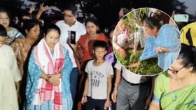 সোণাপুৰত নাহৰ গছৰ পুলি ৰোপন গৰিমা শইকীয়া গাৰ্গৰ সোণাপুৰত নাহৰ গছৰ পুলি ৰোপন গৰিমা শইকীয়া গাৰ্গৰ