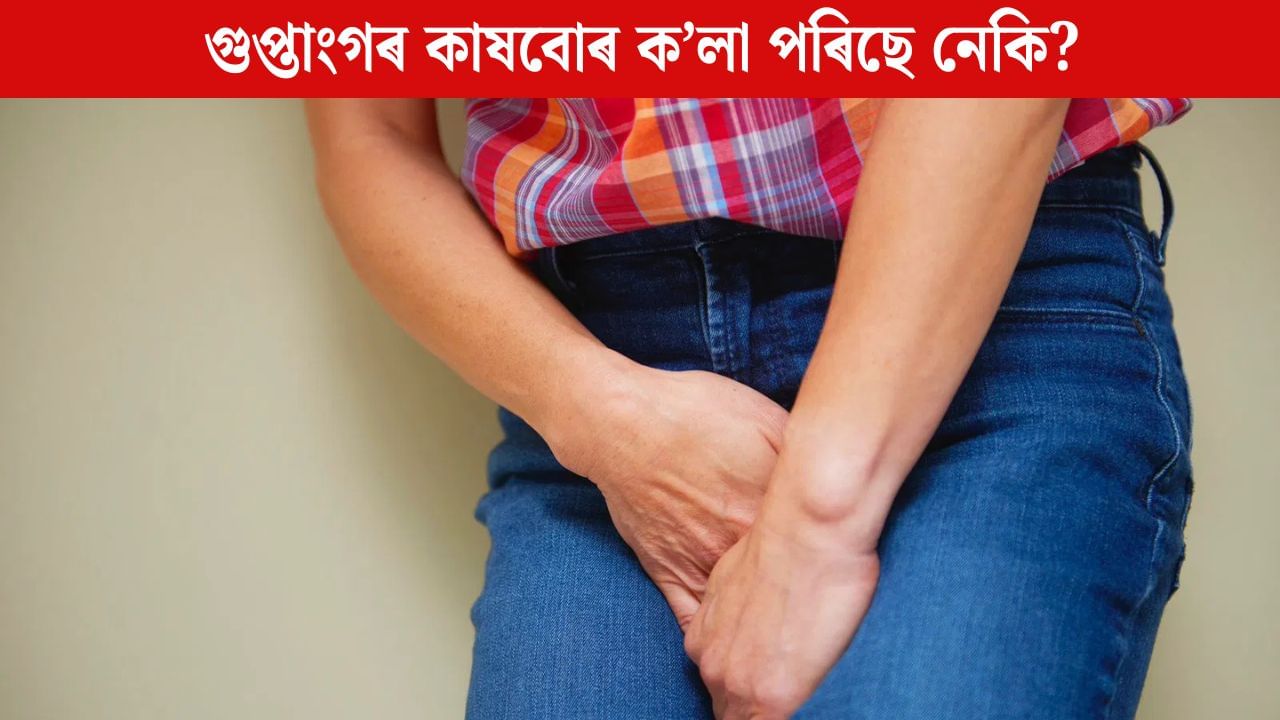 গুপ্তাংগৰ কাষবোৰ ডাঠ হোৱাৰ লগতে ক’লা পৰিছে নেকি? এয়া কি ৰোগৰ লক্ষণ গুপ্তাংগৰ কাষবোৰ ডাঠ হোৱাৰ লগতে ক’লা পৰিছে নেকি? এয়া কি ৰোগৰ লক্ষণ
