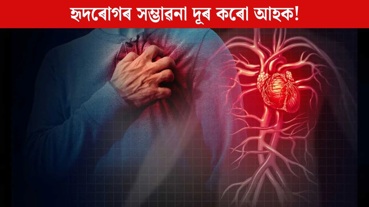 হৃদৰোগৰ সমস্যা আঁতৰিব, প্ৰতিদিনে খোৱা অভ্যাস কৰক এইসমূহ সামগ্ৰী! হৃদৰোগৰ সমস্যা আঁতৰিব, প্ৰতিদিনে খোৱা অভ্যাস কৰক এইসমূহ সামগ্ৰী!