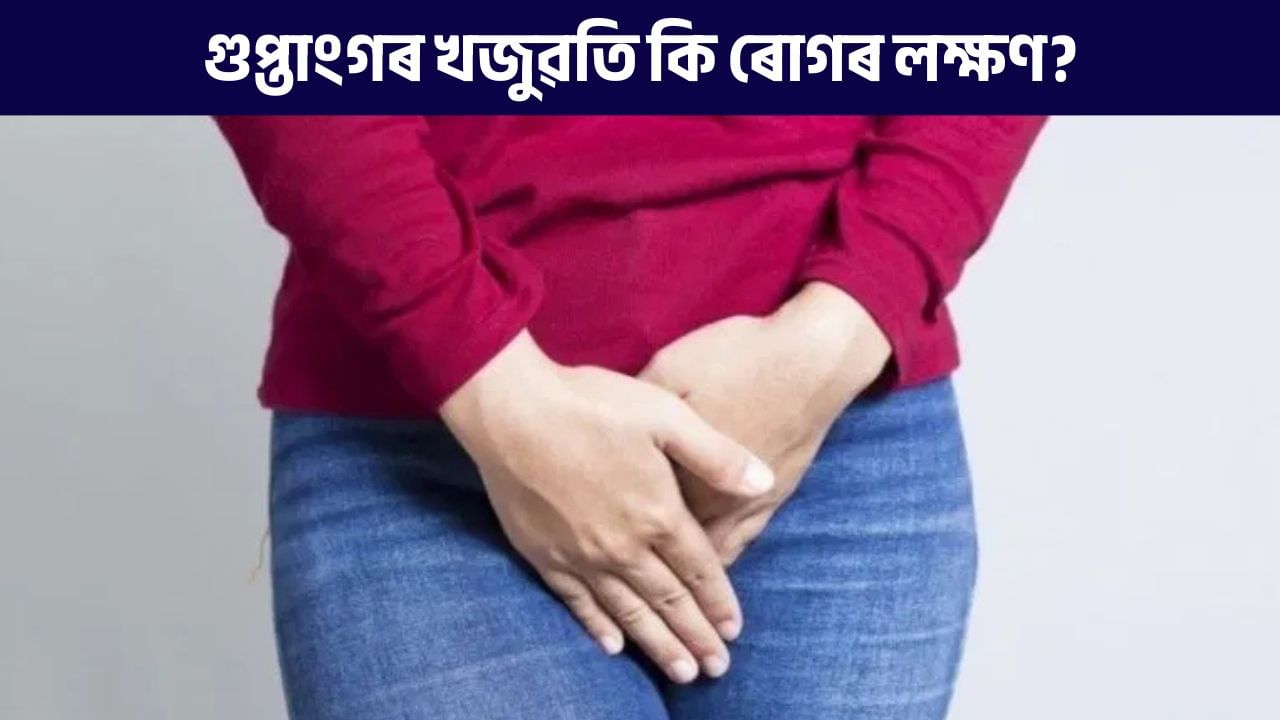 গুপ্তাংগৰ বাৰে বাৰে খজুৱতি উঠে নেকি? ঘৰুৱা উপায়েৰে দূৰ কৰক এই সমস্যা গুপ্তাংগৰ বাৰে বাৰে খজুৱতি উঠে নেকি? ঘৰুৱা উপায়েৰে দূৰ কৰক এই সমস্যা