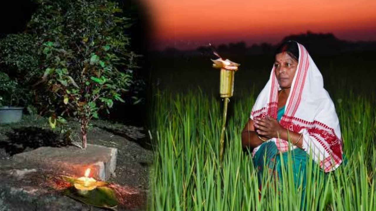 Kati Bihu 2025: কিয় পালন কৰা হয় কাতি বিহু? ইয়াৰ আঁৰৰ পৰম্পৰা, তাৎপৰ্য, লোকাচাৰ সকলো জানক.. Kati Bihu 2025: কিয় পালন কৰা হয় কাতি বিহু? ইয়াৰ আঁৰৰ পৰম্পৰা, তাৎপৰ্য, লোকাচাৰ সকলো জানক..