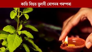 Kati Bihu 2024: কাতি বিহুত তুলসী ৰোপনৰ সময়ত নকৰিব এই ভুল, অভাৱে দেখা দিব আপোনাৰ ঘৰত! Kati Bihu 2024: কাতি বিহুত তুলসী ৰোপনৰ সময়ত নকৰিব এই ভুল, অভাৱে দেখা দিব আপোনাৰ ঘৰত!