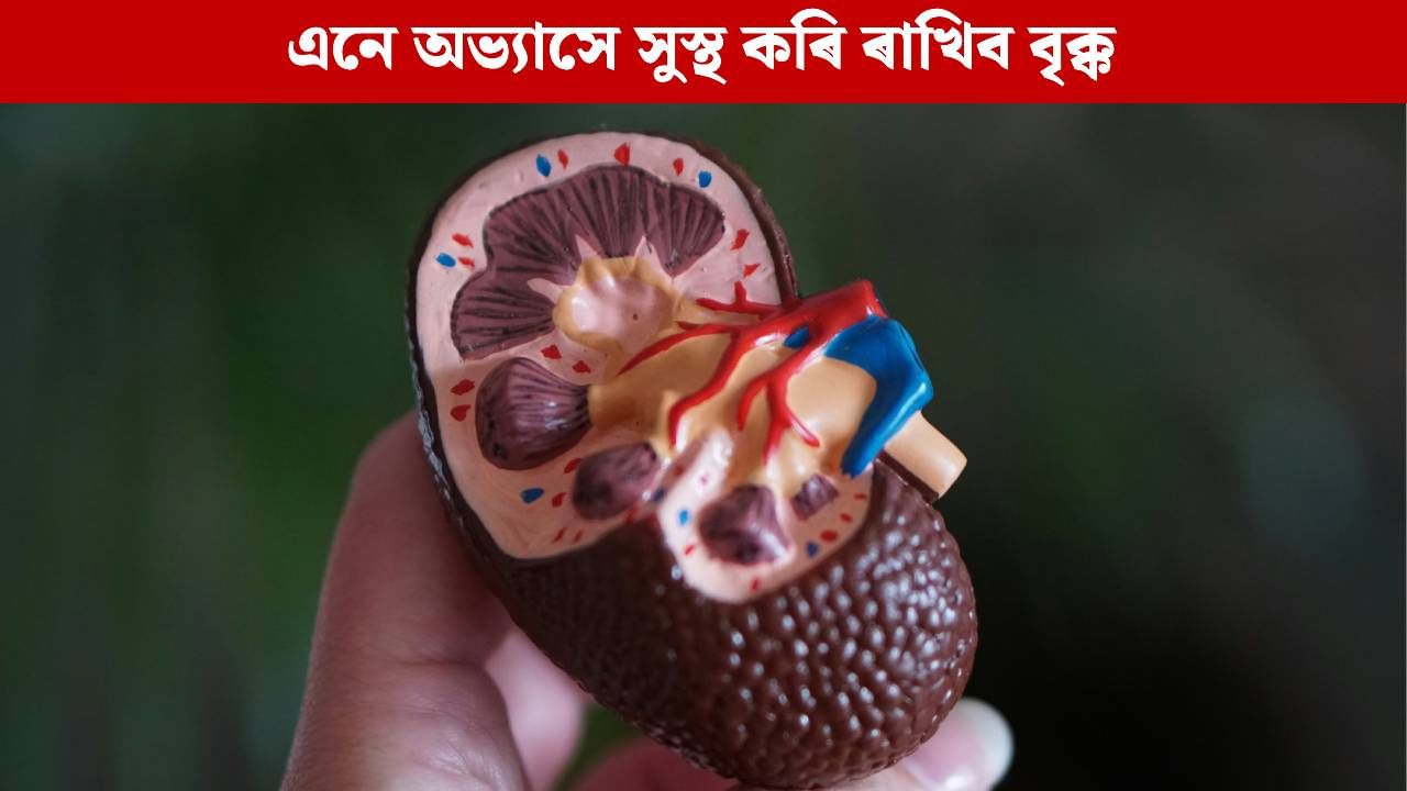 জীৱনশৈলীত ঘটাওক মাত্ৰ এই ৫টা পৰিৱৰ্তন; কিডনীক লৈ আপোনাৰ চিন্তা হ’ব দূৰ, হৈ থাকিব সুস্থ জীৱনশৈলীত ঘটাওক মাত্ৰ এই ৫টা পৰিৱৰ্তন; কিডনীক লৈ আপোনাৰ চিন্তা হ’ব দূৰ, হৈ থাকিব সুস্থ