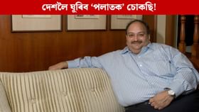 আদালতত মুখথেকেচা! দেশলৈ ঘূৰিব লাগিব ‘১৩ হাজাৰ কোটিৰ’ মেহুল চোকছি আদালতত মুখথেকেচা! দেশলৈ ঘূৰিব লাগিব ‘১৩ হাজাৰ কোটিৰ’ মেহুল চোকছি