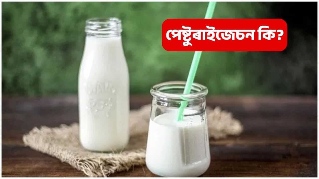 গাখীৰক কিয় pasteurization কৰা হয়? ইয়াৰ সৈতে জড়িত তথ্য জানেনে আপুনি? গাখীৰক কিয় pasteurization কৰা হয়? ইয়াৰ সৈতে জড়িত তথ্য জানেনে আপুনি?