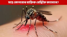 কোনবোৰ লোকক মহে বেছিকৈ কামোৰে? গৱেষণাত পোহৰলৈ আহিছে ডাঙৰ তথ্য কোনবোৰ লোকক মহে বেছিকৈ কামোৰে? গৱেষণাত পোহৰলৈ আহিছে ডাঙৰ তথ্য