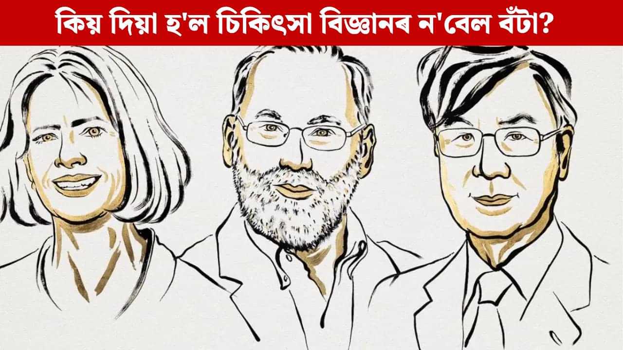মানৱ দেহত থকা টি কোষ কি? যাৰ বাবে ৩ বিজ্ঞানীয়ে লাভ কৰিলে নবেল বঁটা... মানৱ দেহত থকা টি কোষ কি? যাৰ বাবে ৩ বিজ্ঞানীয়ে লাভ কৰিলে নবেল বঁটা...