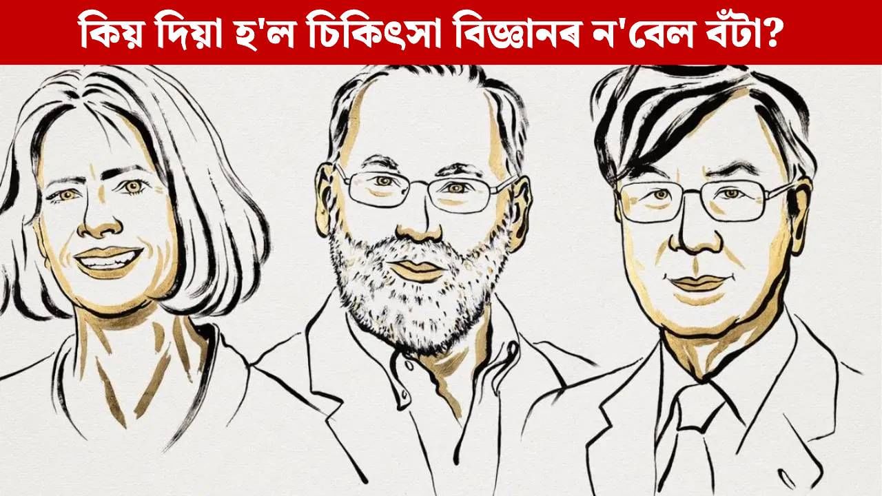 মানৱ দেহত থকা টি কোষ কি? যাৰ বাবে ৩ বিজ্ঞানীয়ে লাভ কৰিলে ন’বেল বঁটা… মানৱ দেহত থকা টি কোষ কি? যাৰ বাবে ৩ বিজ্ঞানীয়ে লাভ কৰিলে ন’বেল বঁটা…