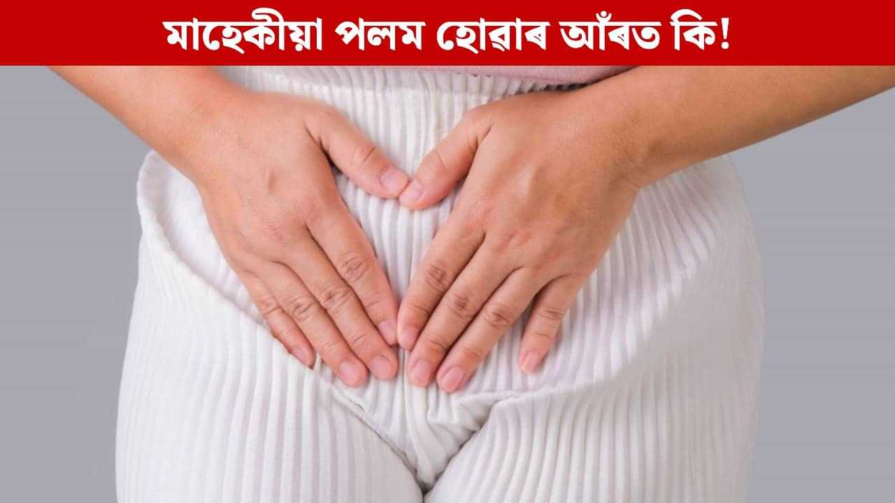 মাহেকীয়া পলম হোৱাৰ আঁৰত থাকিব পাৰে নেকি কোনো ৰোগৰ ইংগিত! বিশেষজ্ঞই দিছে গুৰুত্বপূৰ্ণ মত মাহেকীয়া পলম হোৱাৰ আঁৰত থাকিব পাৰে নেকি কোনো ৰোগৰ ইংগিত! বিশেষজ্ঞই দিছে গুৰুত্বপূৰ্ণ মত