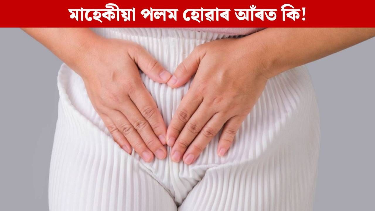 মাহেকীয়া পলম হোৱাৰ আঁৰত থাকিব পাৰে নেকি কোনো ৰোগৰ ইংগিত! বিশেষজ্ঞই দিছে গুৰুত্বপূৰ্ণ মত