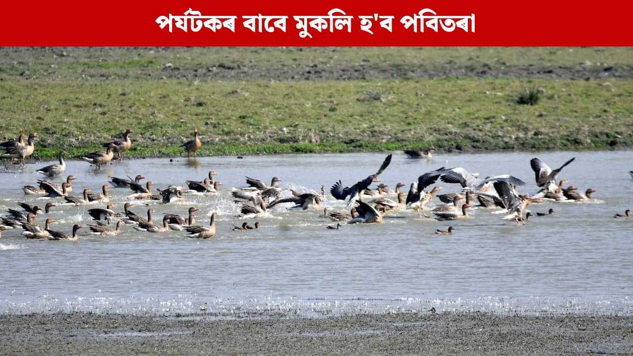 ২৩ অক্টোবৰত পৰ্যটকৰ বাবে মুকলি হ’ব পবিতৰা বন্যপ্ৰাণী অভয়াৰণ্য ২৩ অক্টোবৰত পৰ্যটকৰ বাবে মুকলি হ’ব পবিতৰা বন্যপ্ৰাণী অভয়াৰণ্য
