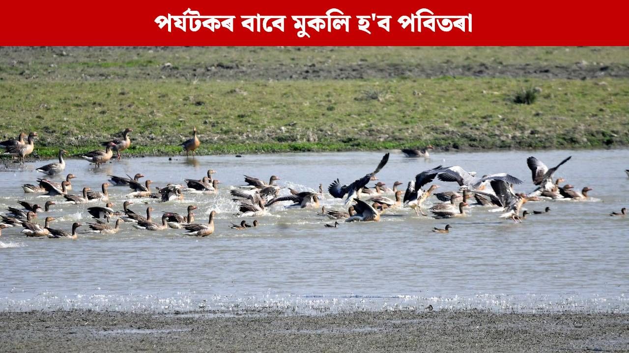 ২৩ অক্টোবৰত পৰ্যটকৰ বাবে মুকলি হ’ব পবিতৰা বন্যপ্ৰাণী অভয়াৰণ্য ২৩ অক্টোবৰত পৰ্যটকৰ বাবে মুকলি হ’ব পবিতৰা বন্যপ্ৰাণী অভয়াৰণ্য
