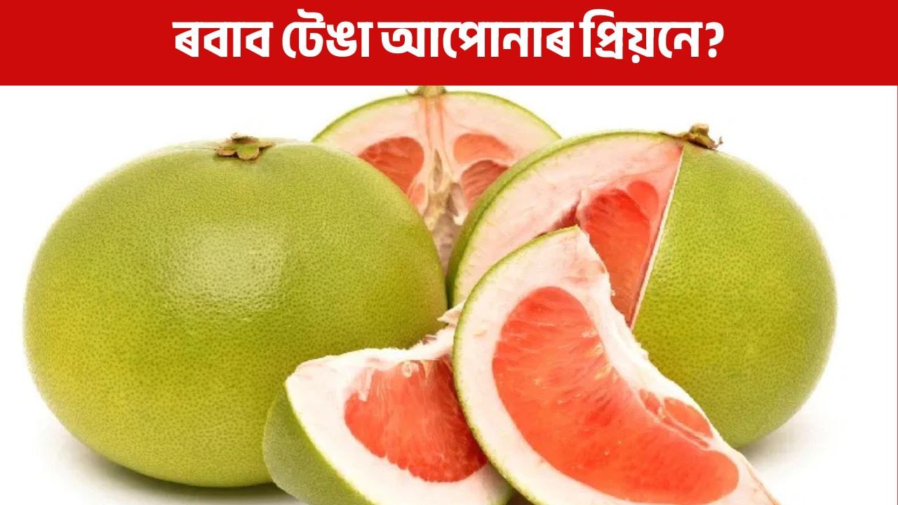 দাঁতৰ সমস্যা দূৰ আৰু বয়সৰ চাপ আঁতৰোৱা…  ৰবাব টেঙাৰ উপকাৰী গুণৰ কথা জানিলে আচৰিত হ’ব আপুনি!