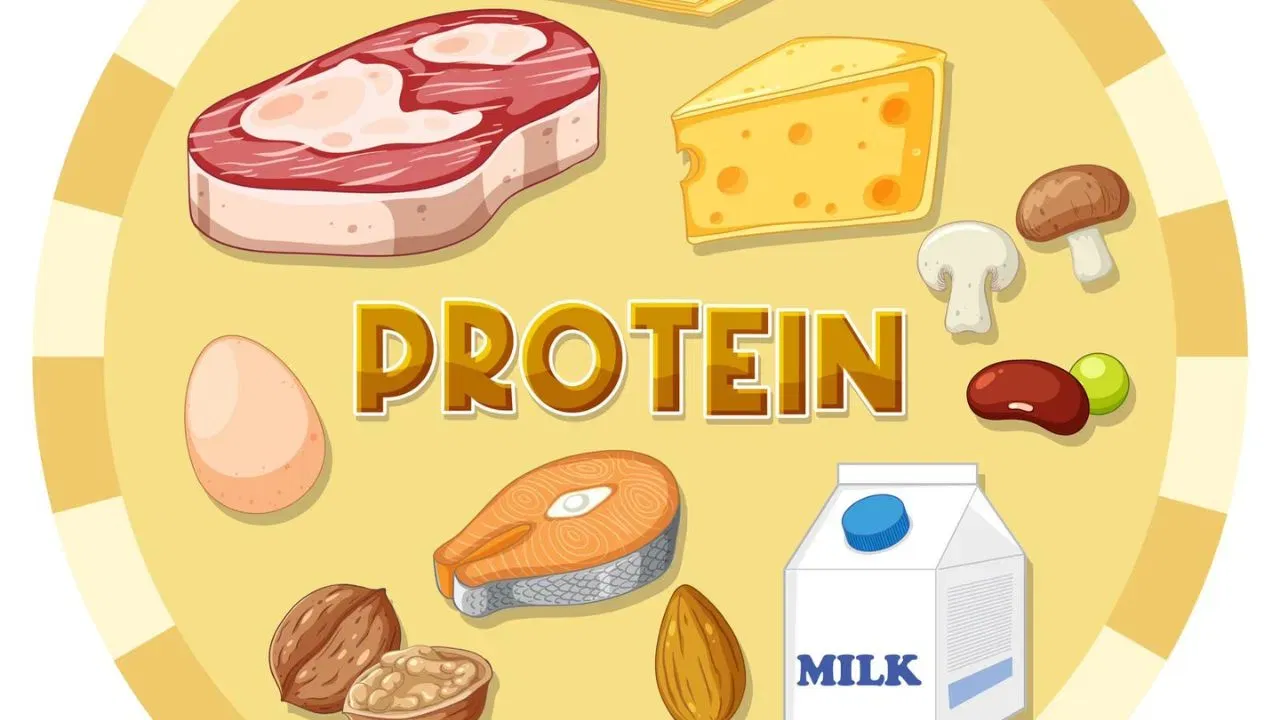 Protein: শৰীৰত প্ৰটিনৰ অভাৱ হৈছে নেকি? এইসমূহ লক্ষণ দেখিলে সাৱধান, প্ৰতিকাৰৰ উপায় জানক… Protein: শৰীৰত প্ৰটিনৰ অভাৱ হৈছে নেকি? এইসমূহ লক্ষণ দেখিলে সাৱধান, প্ৰতিকাৰৰ উপায় জানক…