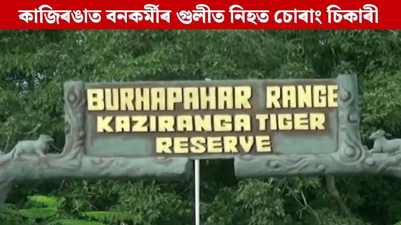 কাজিৰঙা ৰাষ্ট্ৰীয় উদ্যানত বনকৰ্মীৰ গুলীত নিহত চোৰাং চিকাৰী কাজিৰঙা ৰাষ্ট্ৰীয় উদ্যানত বনকৰ্মীৰ গুলীত নিহত চোৰাং চিকাৰী