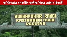 কাজিৰঙা ৰাষ্ট্ৰীয় উদ্যানত বনকৰ্মীৰ গুলীত নিহত চোৰাং চিকাৰী কাজিৰঙা ৰাষ্ট্ৰীয় উদ্যানত বনকৰ্মীৰ গুলীত নিহত চোৰাং চিকাৰী