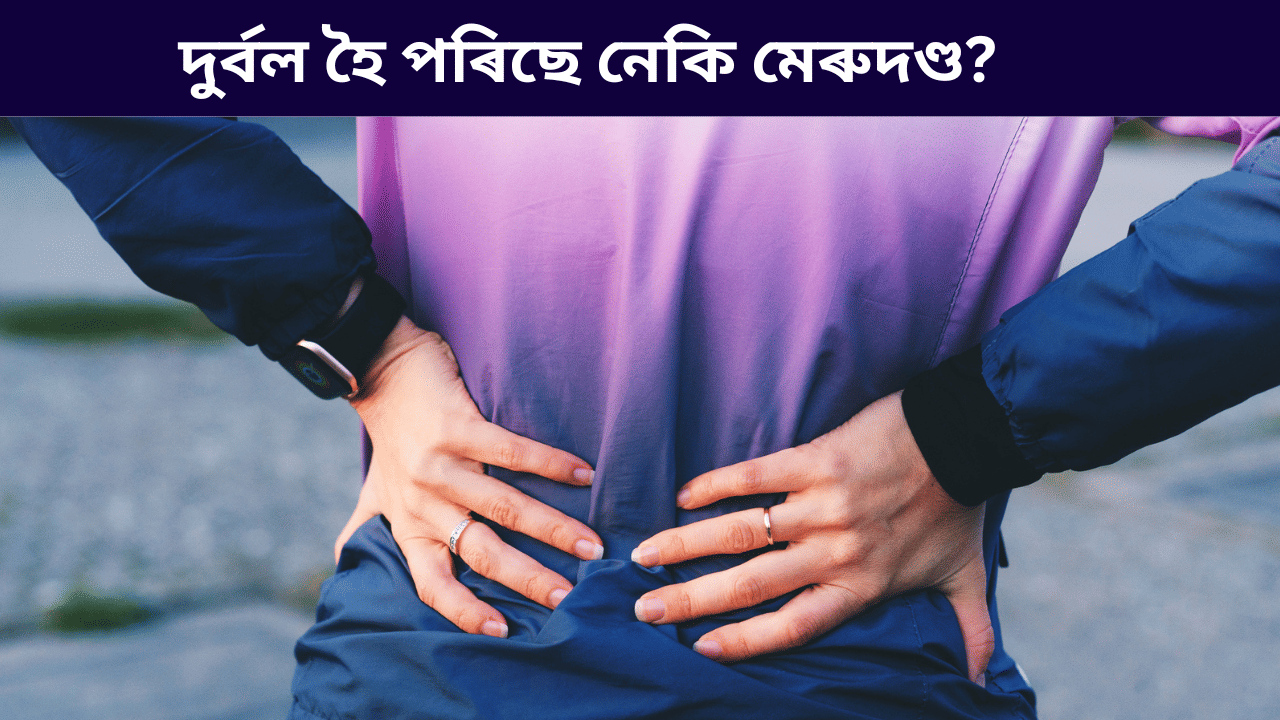 মেৰুদণ্ড দুৰ্বল হৈ পৰিলে কি কি লক্ষণে দেখা দিয়ে? জানক বিশেষজ্ঞৰ পৰা… মেৰুদণ্ড দুৰ্বল হৈ পৰিলে কি কি লক্ষণে দেখা দিয়ে? জানক বিশেষজ্ঞৰ পৰা…