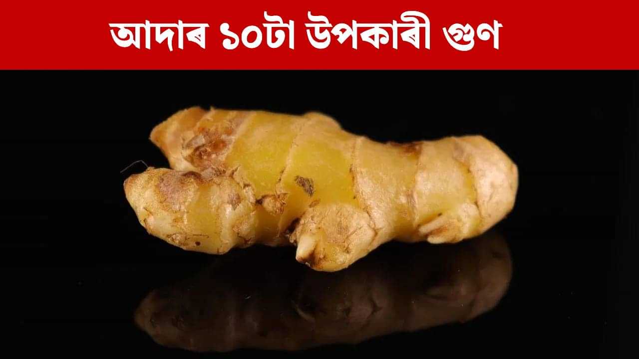 Ginger: চৰ্দি-কাহ, গেছৰ পৰা ব্লাড চুগাৰলৈ...আদাৰ এই ১০টা আচৰিত গুণৰ বিষয়ে জানেনে? Ginger: চৰ্দি-কাহ, গেছৰ পৰা ব্লাড চুগাৰলৈ...আদাৰ এই ১০টা আচৰিত গুণৰ বিষয়ে জানেনে?