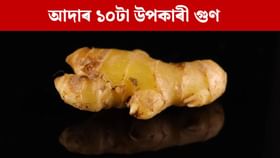 চৰ্দি-কাহ, গেছৰ পৰা ব্লাড চুগাৰ...আদাৰ ১০ টা উপকাৰী গুণ জানক... চৰ্দি-কাহ, গেছৰ পৰা ব্লাড চুগাৰ...আদাৰ ১০ টা উপকাৰী গুণ জানক...