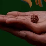 Donating Rudraksha On Monday
