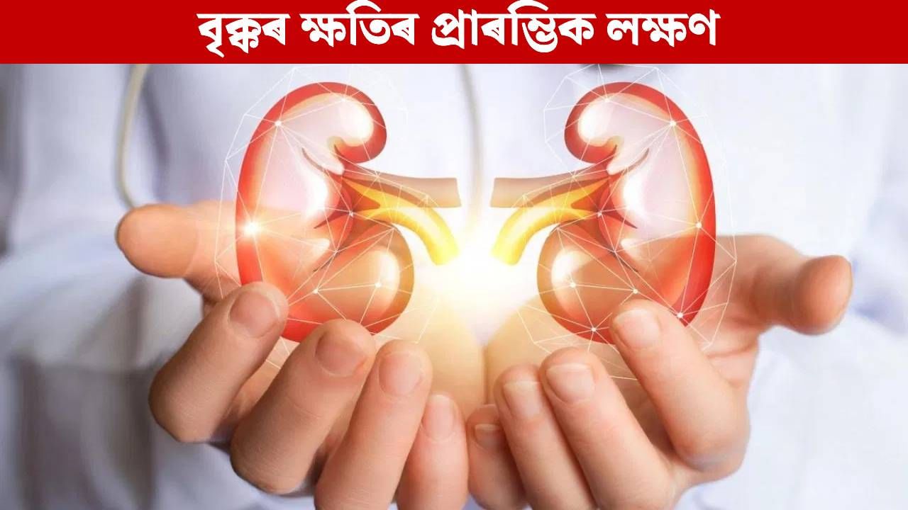 Early Symptoms Of Kidney Damage