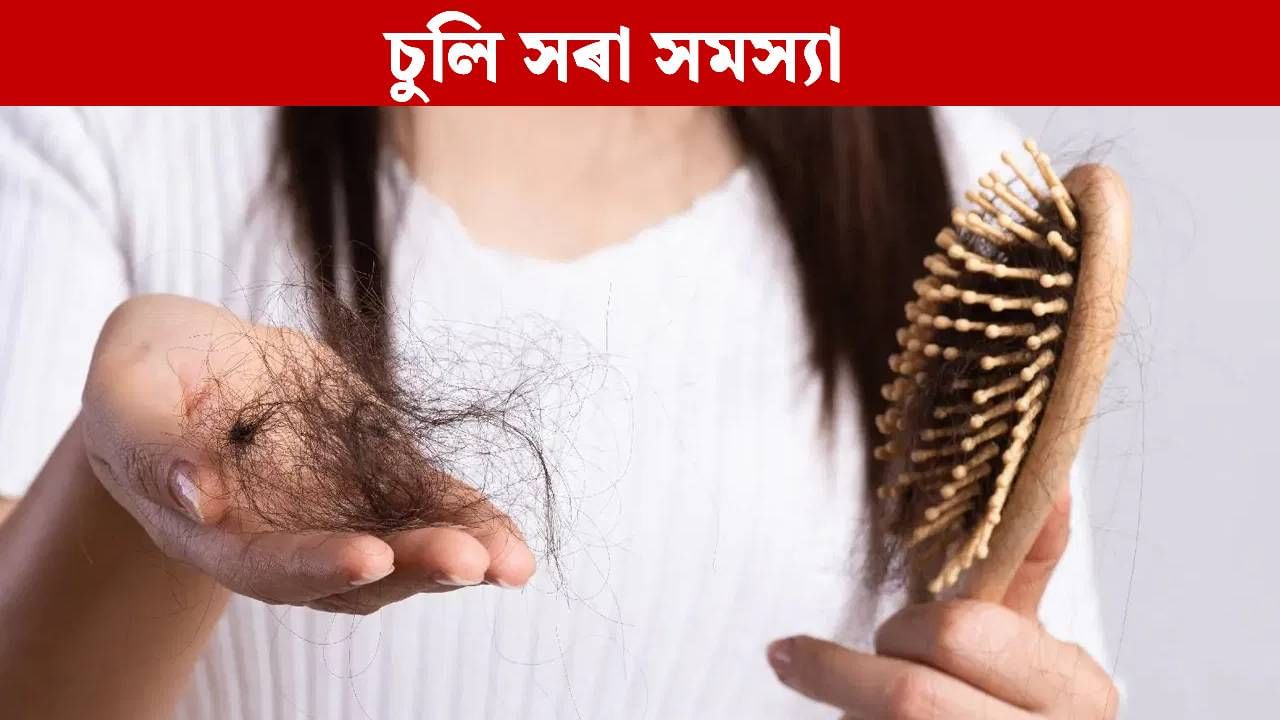 এই ৫ বিধ খাদ্যই বৃদ্ধি কৰে চুলি সৰা সমস্যা, নকৰিব ভুল… এই ৫ বিধ খাদ্যই বৃদ্ধি কৰে চুলি সৰা সমস্যা, নকৰিব ভুল…