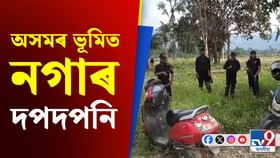উৰিয়ামঘাটত নগাই কাটিলে অসমৰ ভূমিত ৰোপন কৰা গছ... উৰিয়ামঘাটত নগাই কাটিলে অসমৰ ভূমিত ৰোপন কৰা গছ...