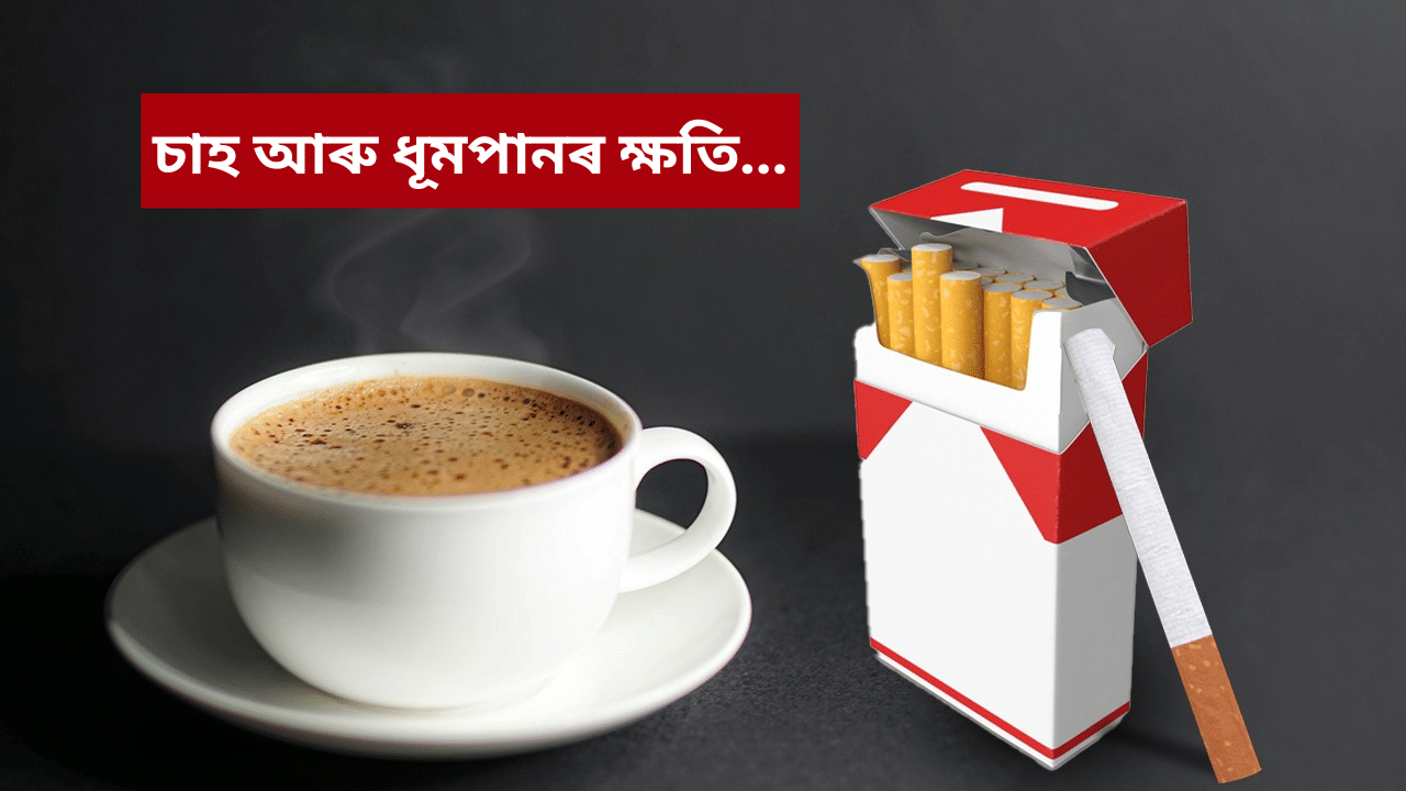 হাৰ্ট এটেকৰ পৰা কৰ্কট ৰোগলৈ…চাহ-চিগাৰেট একেলগে খোৱাৰ ফলত কি হয় জানেনে? জানক চিকিৎসকৰ পৰা… হাৰ্ট এটেকৰ পৰা কৰ্কট ৰোগলৈ…চাহ-চিগাৰেট একেলগে খোৱাৰ ফলত কি হয় জানেনে? জানক চিকিৎসকৰ পৰা…