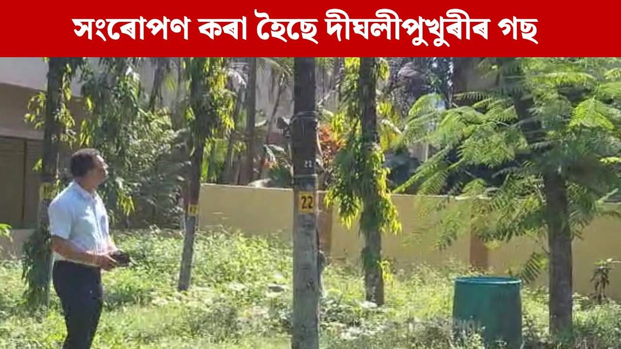 কটা নাই, স্থানান্তৰহে কৰা হৈছে দীঘলীপুখুৰীৰ পাৰৰ গছ: লোক নিৰ্মাণ বিভাগে জনালে… কটা নাই, স্থানান্তৰহে কৰা হৈছে দীঘলীপুখুৰীৰ পাৰৰ গছ: লোক নিৰ্মাণ বিভাগে জনালে…