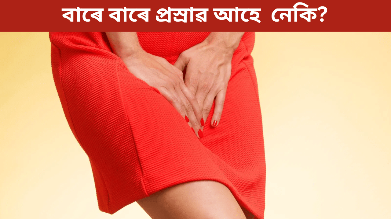 নিশা বেছিকৈ প্ৰস্ৰাৱ অহা, পেটৰ বিষ...কি ৰোগৰ লক্ষণ, জানক বিশেষজ্ঞৰ পৰা...