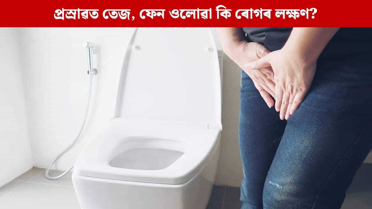 প্ৰস্ৰাৱৰ দুৰ্গন্ধ, তেজ, ফেন... এনে সমস্যাৰ আঁৰত কি ৰোগ? জানক প্ৰস্ৰাৱৰ দুৰ্গন্ধ, তেজ, ফেন... এনে সমস্যাৰ আঁৰত কি ৰোগ? জানক