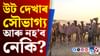 ভাৰতত তীব্ৰগতিত হ্ৰাস পাইছে উটৰ সংখ্যা... ভাৰতত তীব্ৰগতিত হ্ৰাস পাইছে উটৰ সংখ্যা......
