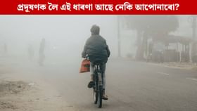 ৰোগ প্ৰতিৰোধ ক্ষমতা শক্তিশালী হ’লে কমে নেকি প্ৰদূষণৰ প্ৰভাৱ!