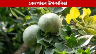 ৰাতিপুৱা খালী পেটত ২-৩ টা বেলপাত চোবাই খালে কি হয়? জানক…