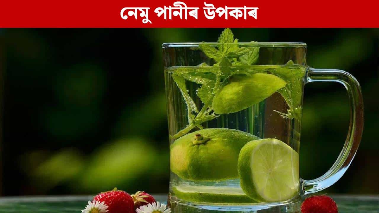 Lemon Water: প্ৰতিদিনে পুৱা খালী পেটত এগিলাচ নেমু পানী খালে কি হয়? ৫টা উপকাৰিতা জানক...