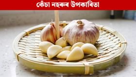 নহৰুৰ এইসমূহ গুণাগুণে আপোনাক কৰিব শক্তিশালী, দূৰ কৰিব বিভিন্ন ৰোগ!...