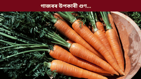 প্ৰতিদিনে খালী পেটত গাজৰ খালে কম হ'ব পাৰে এইসমূহ সমস্যা! জানক...